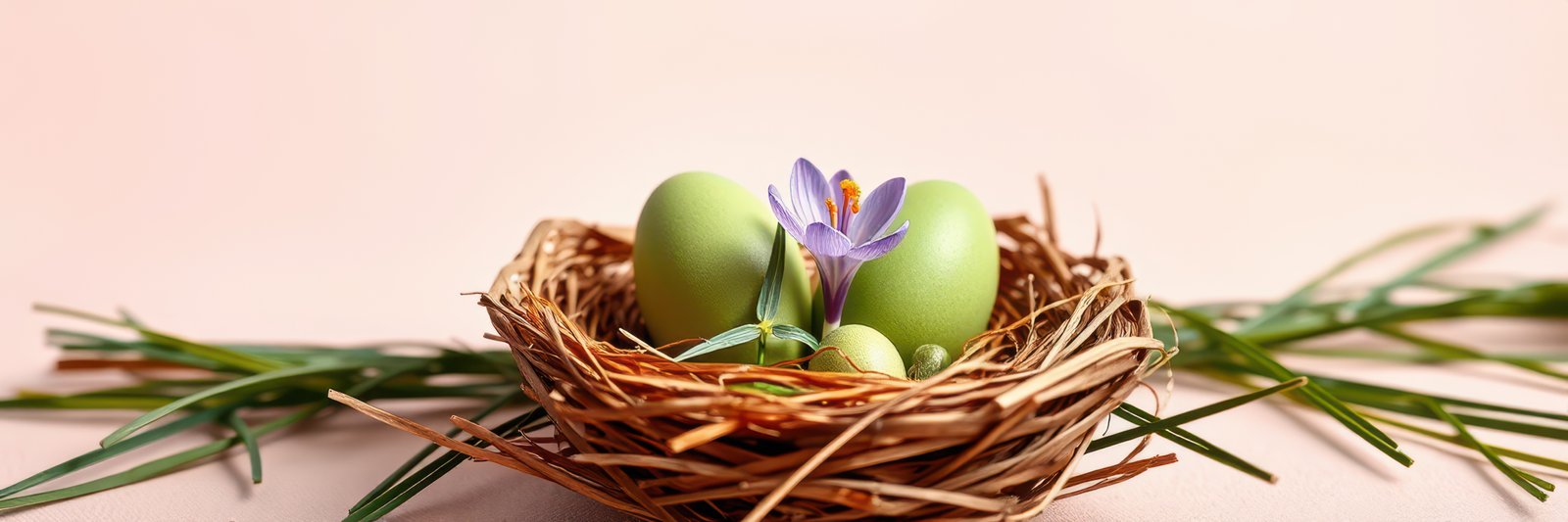 Green eggs and a delicate flower in a natural nest arrangement on a soft background